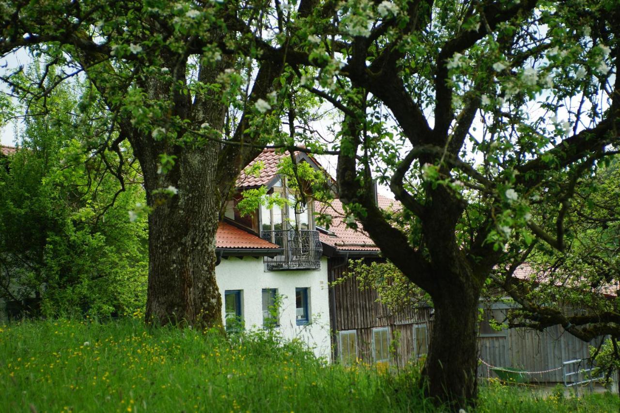 Moosmuehle Allgaeu Untrasried Luaran gambar